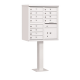 12 Tenant Cluster Box - 1 Parcel Locker